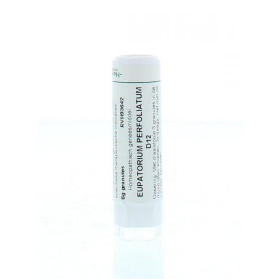 Eupatorium perfoliatum D12