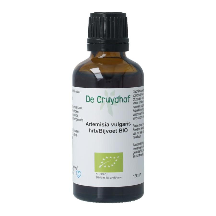Artemisia vulgaris herb/bijvoet tinctuur bio