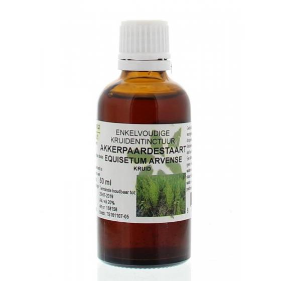 Equisetum arvense / akkerpaardestaart tinctuur