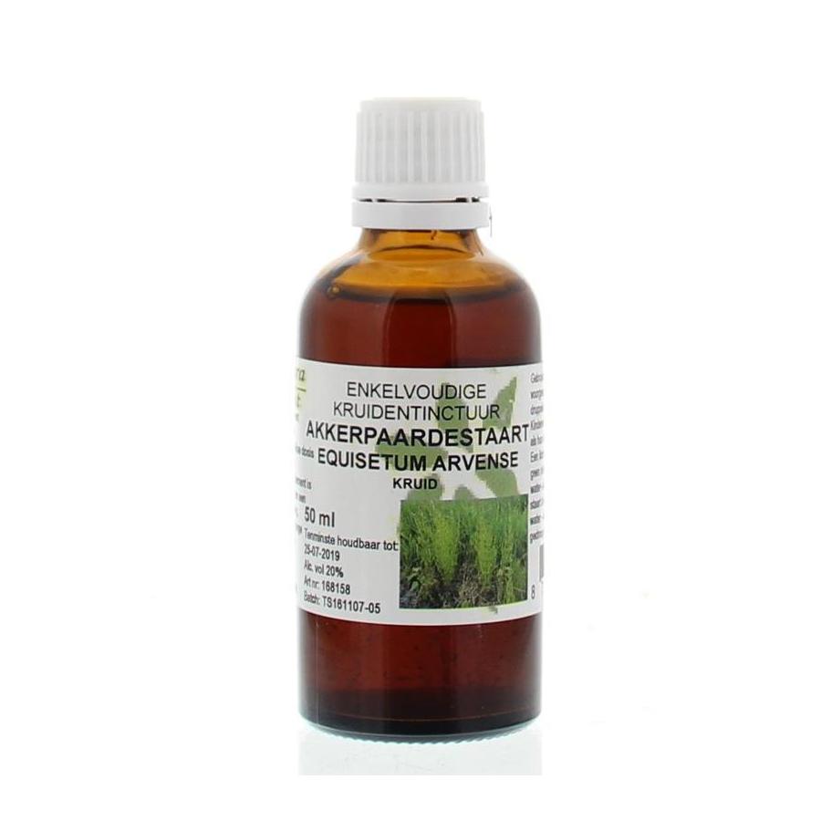 Equisetum arvense / akkerpaardestaart tinctuur