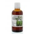 Equisetum arvense / akkerpaardestaart tinctuur