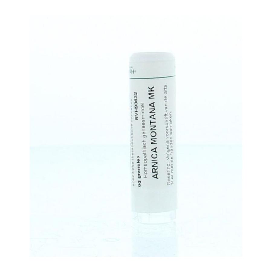 Arnica montana MK