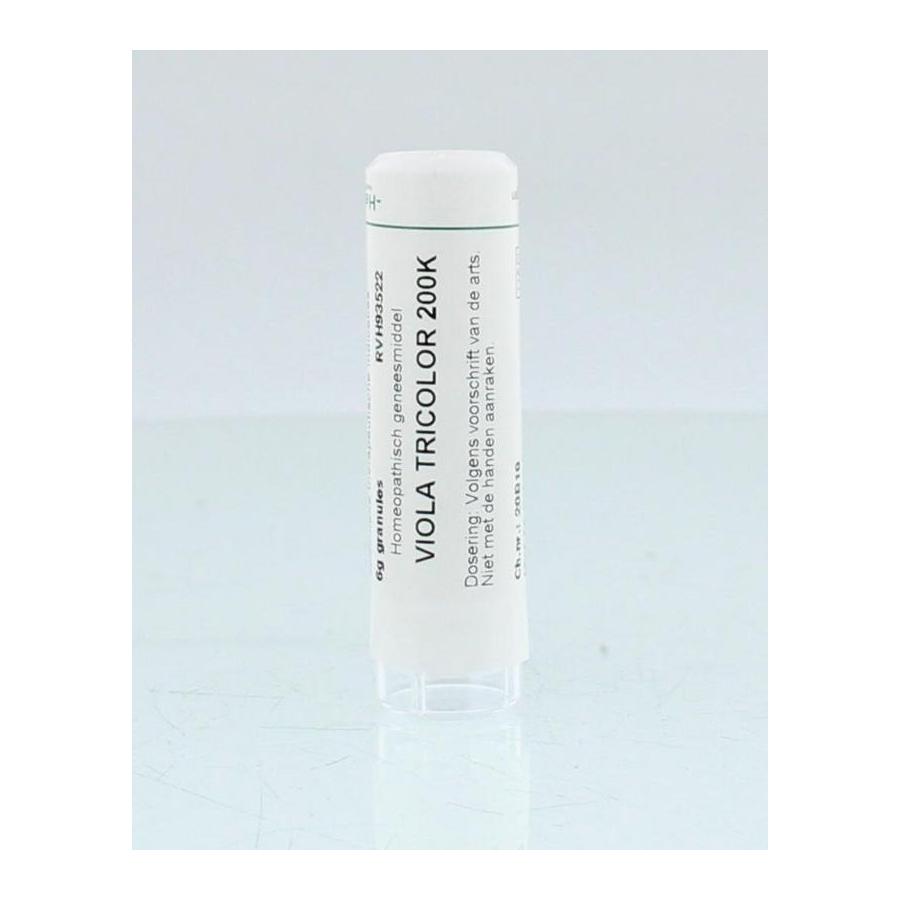 Viola tricolor 200K