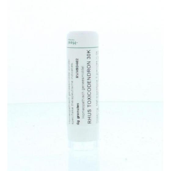 Rhus toxicodendron 30K