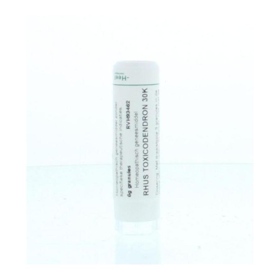 Rhus toxicodendron 30K