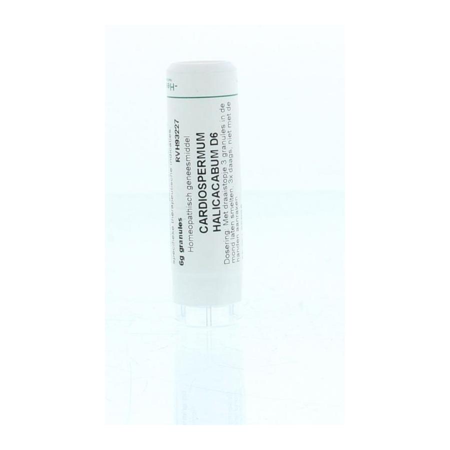 Cardiospermum halicacabum D6