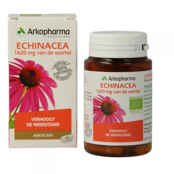 Echinacea bio