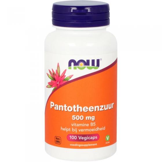 Pantotheenzuur 500mg (B5)