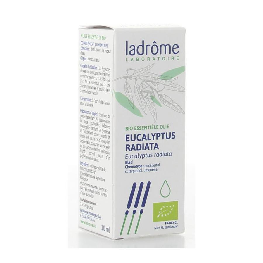 Eucalyptus radiata olie bio