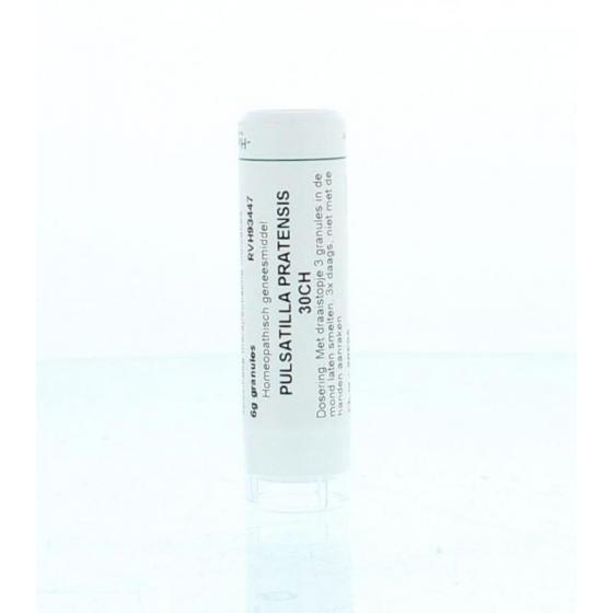 Pulsatilla pratensis 30CH