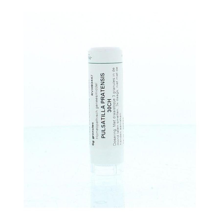 Pulsatilla pratensis 30CH