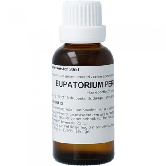 Eupatorium perfoliatum D6