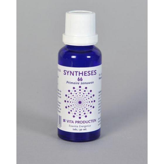 Syntheses 66 primaire zenuwen