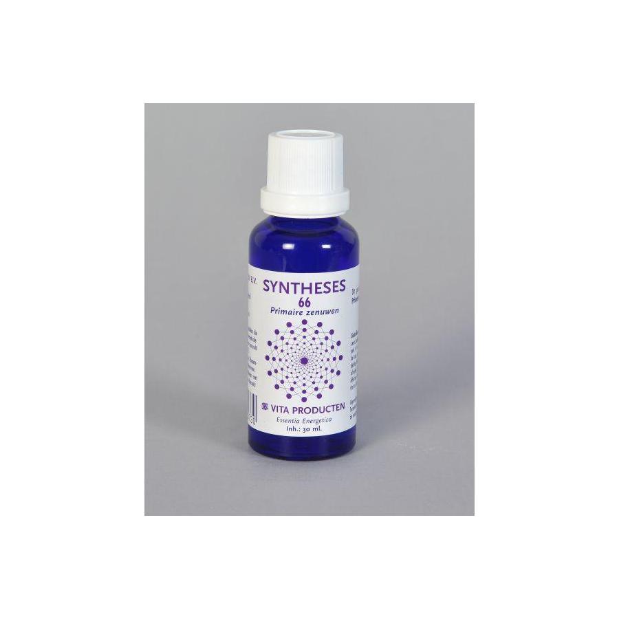 Syntheses 66 primaire zenuwen