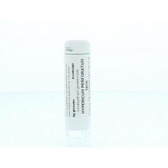 Hypericum perforatum 12CH
