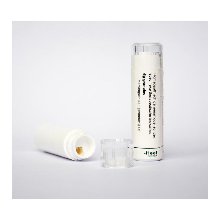 Rumex crispus 30CH