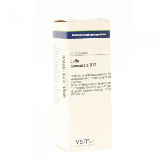 Conium maculatum 12K