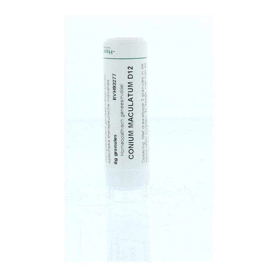 Conium maculatum D12