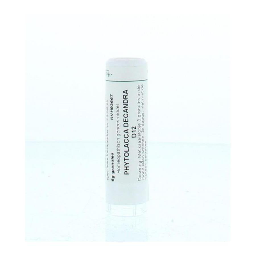 Phytolacca decandra D12