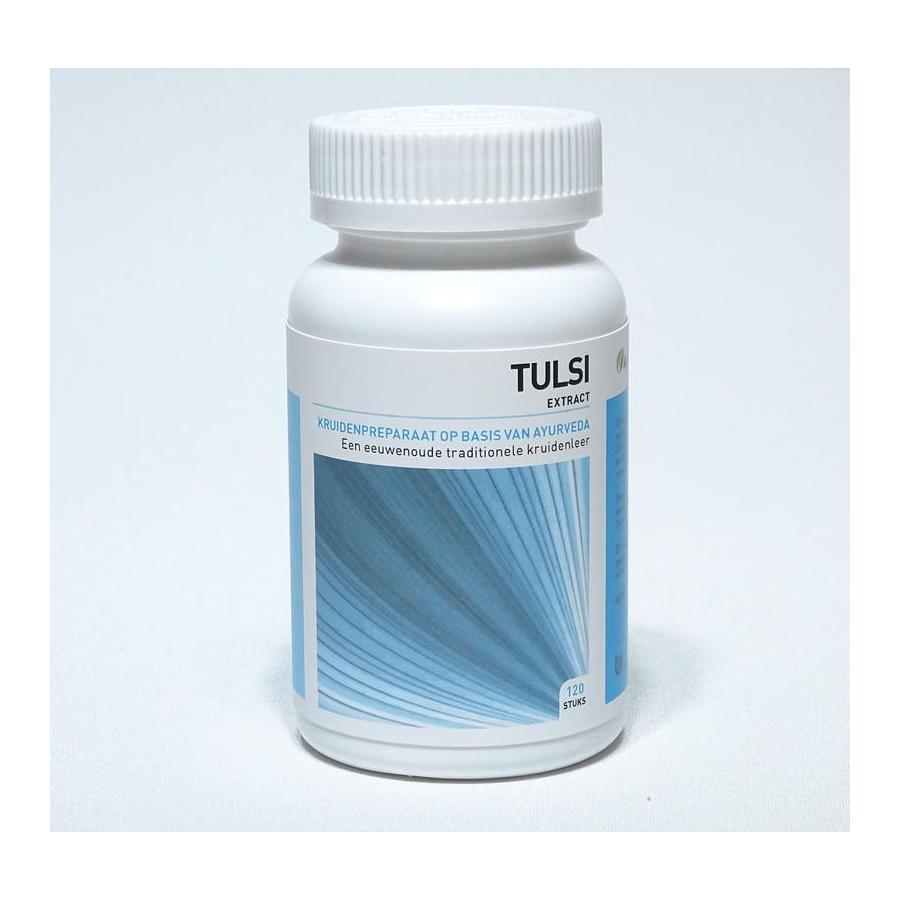 Tulsi ocimum sanctum