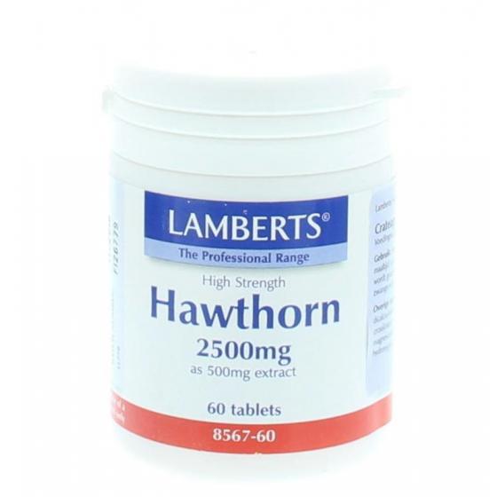 Crataegus 2500mg (hawthorn)