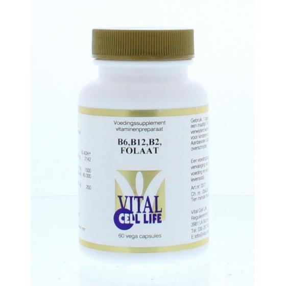 Vitamine B6/B12/B2 folaat