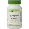 Galgand nasak