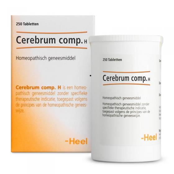 Cerebrum compositum H