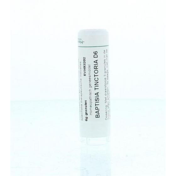 Baptisia tinctoria D6