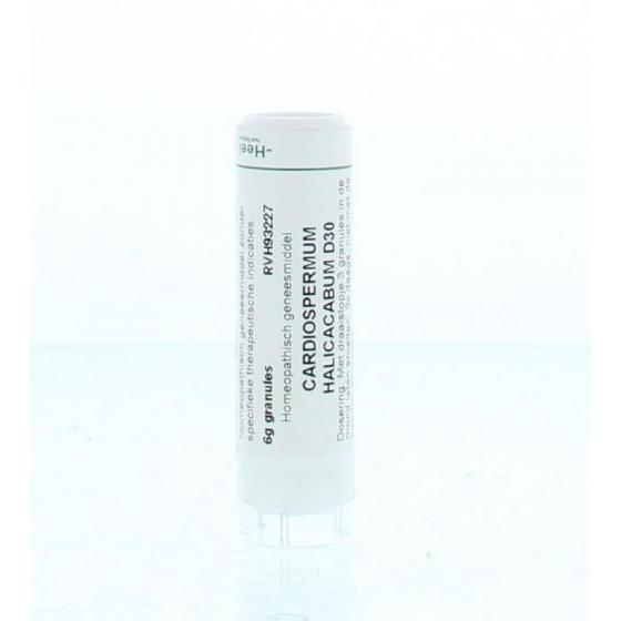 Cardiospermum halicacabum D30