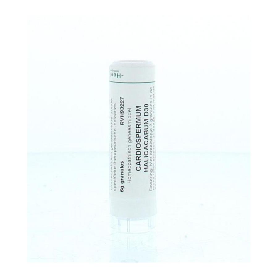 Cardiospermum halicacabum D30