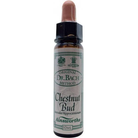 Chestnut bud Bach