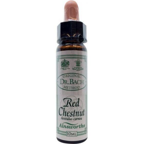 Red Chestnut Bach