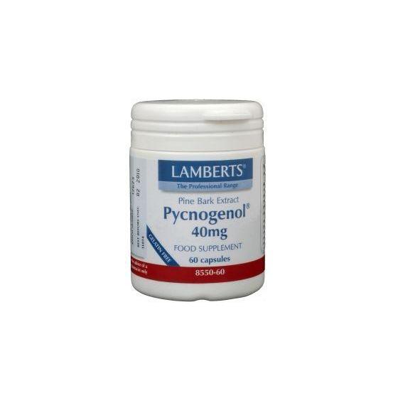 Pijnboombast extract (Pycnogenol 40mg)