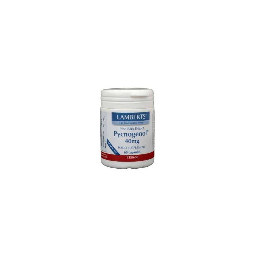 Pijnboombast extract (Pycnogenol 40mg)