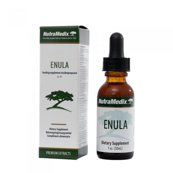 Enula