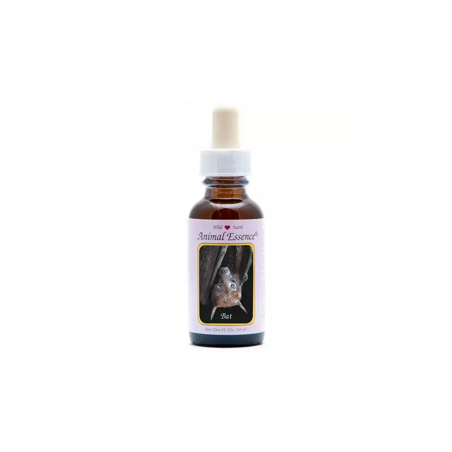 Bat (vleermuis)