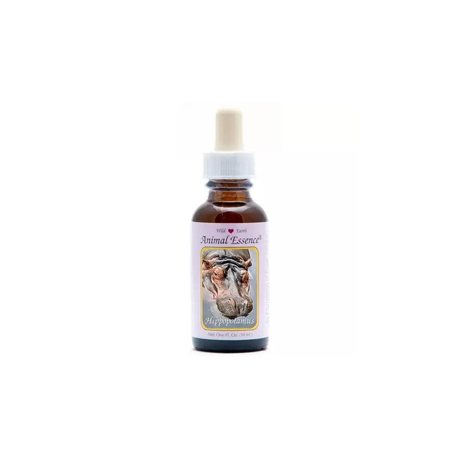 Hippopotamus (nijlpaard)