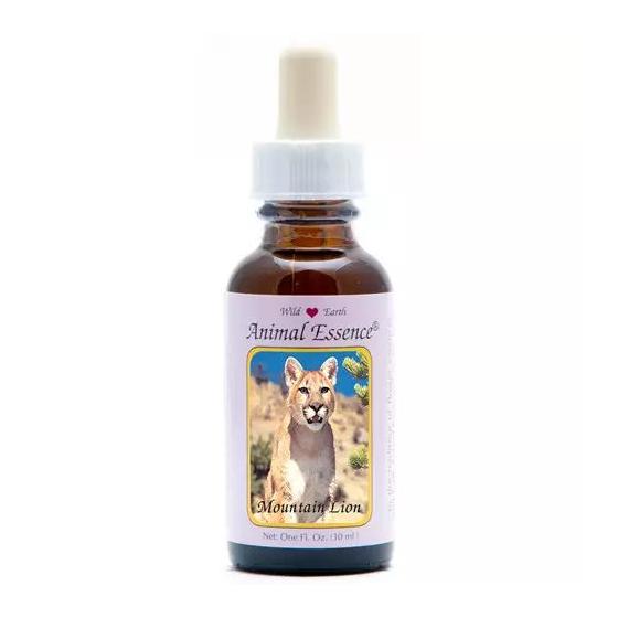 Mountain lion (poema)