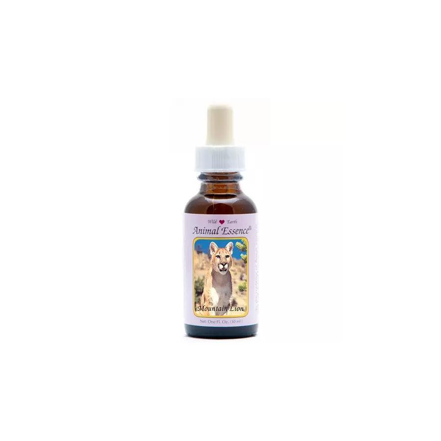 Mountain lion (poema)