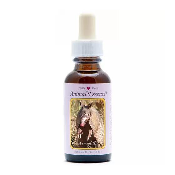 Armadilla (gordeldier)