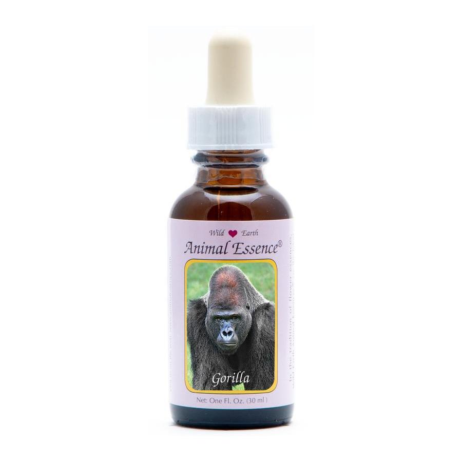Gorilla