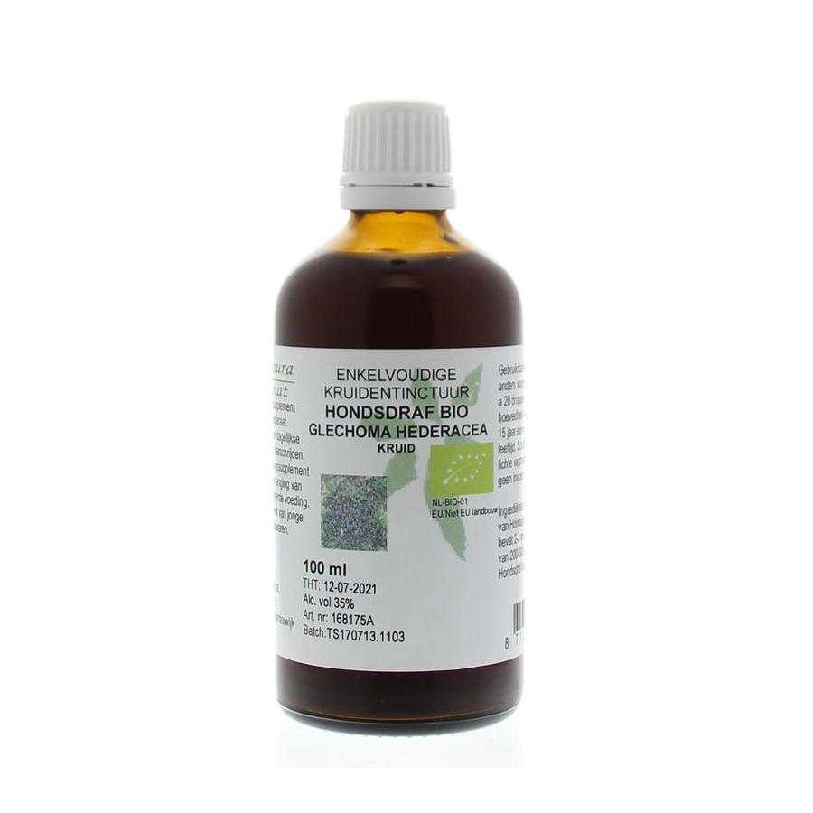 Glechoma hederacea / hondsdraf tinctuur bio