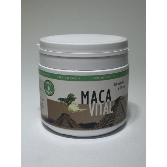 Maca