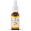 Bach bloesemremedies oak bio
