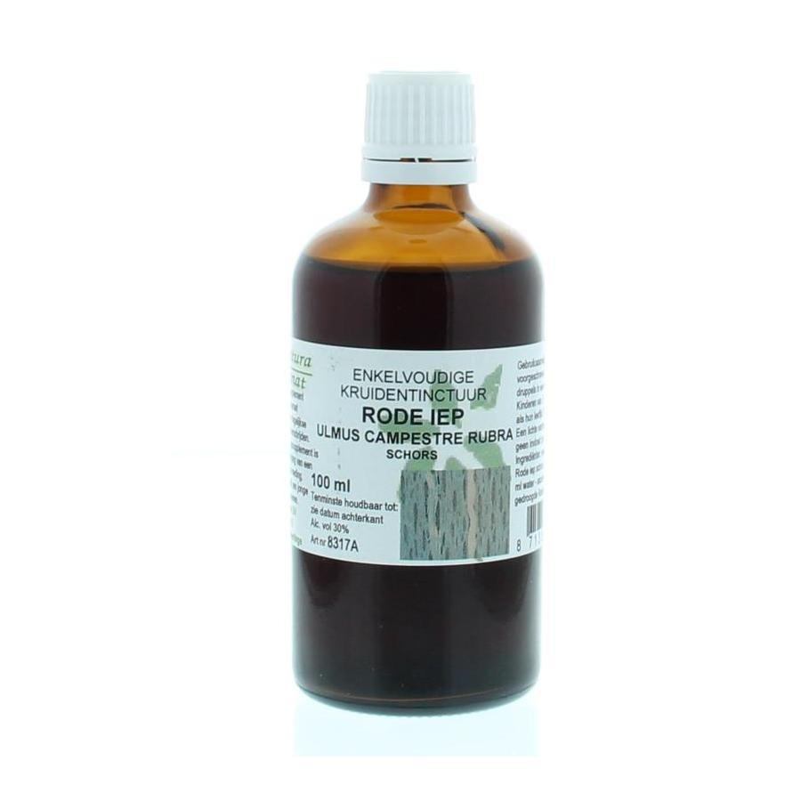 Ulmus campestre rubra / rode iep tinctuur