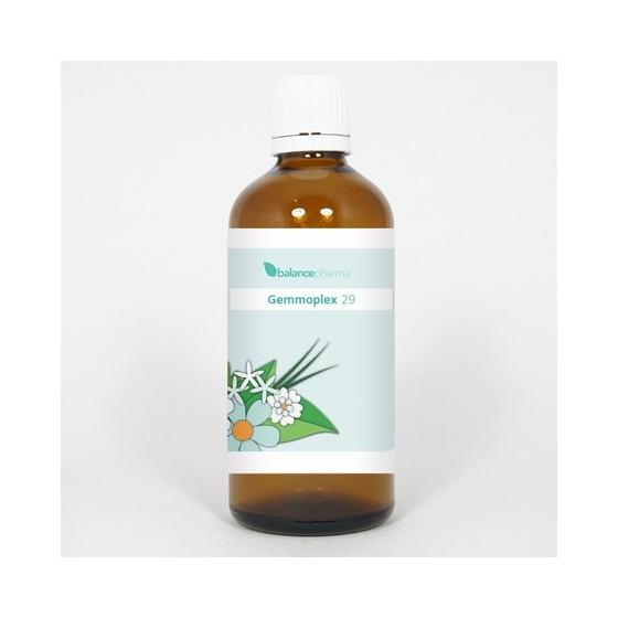 HGP029 Gemmoplex bekken man