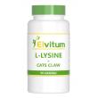 L-Lysine cats claw