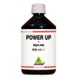 Power up