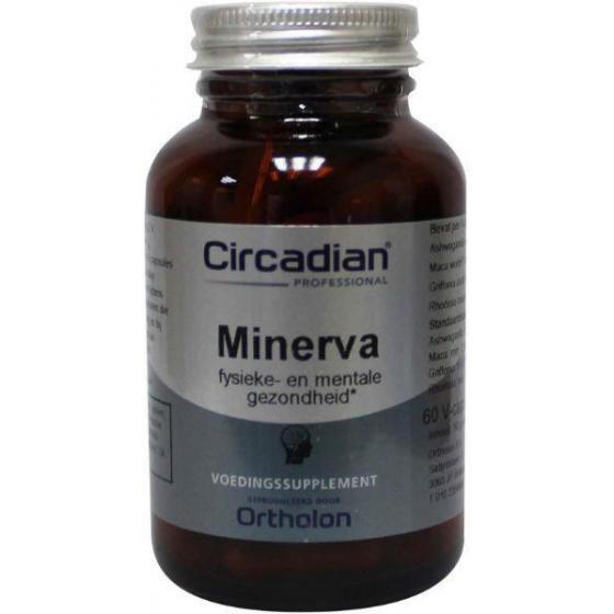 Minerva